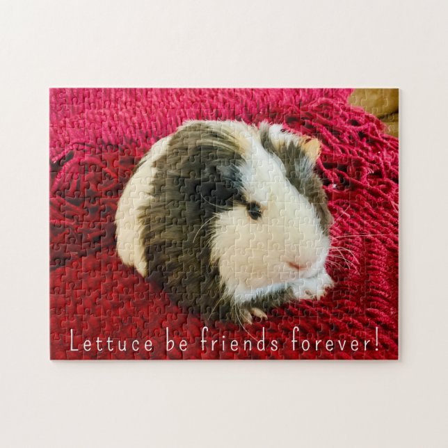 Süßes Meerschweinchen-Puzzle  (Horizontal)