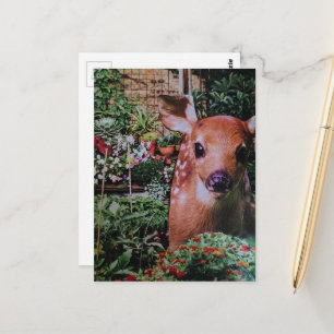 Süßes niedliches Reh im Garten Collage Postkarte