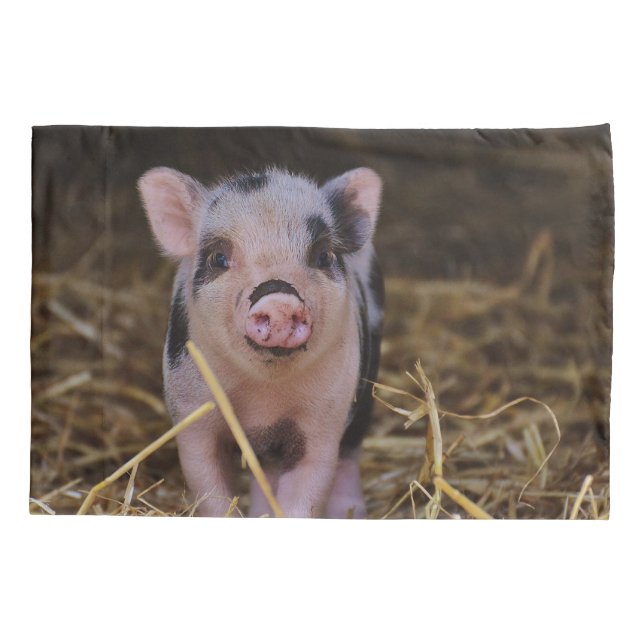 Süßes niedliches Schwein Kissenbezug (Rückseite)