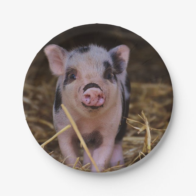 Süßes niedliches Schwein Pappteller (Vorderseite)