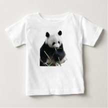Süßes Panda-Baby