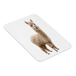 Süßes realistische flauschiges Alpaka-Foto-Biege-M Magnet