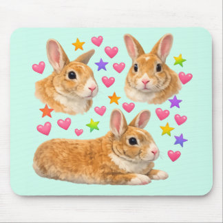 Süßes Regenbogen-Haustier-Mama Häschen Kawaii Mousepad