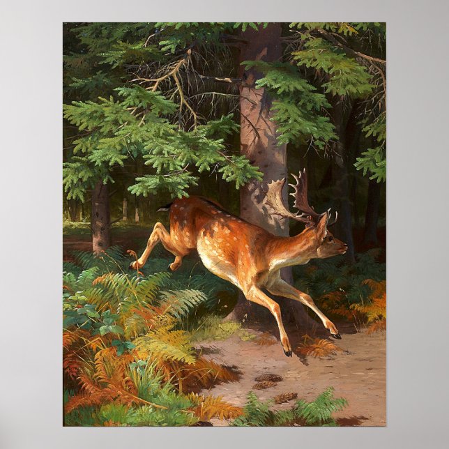 Süßes Rotwild im Wald Poster (Vorne)