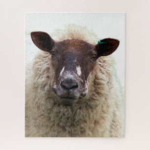 SÜSSES SCHAF