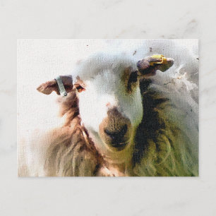 SÜßES SCHAF POSTKARTE