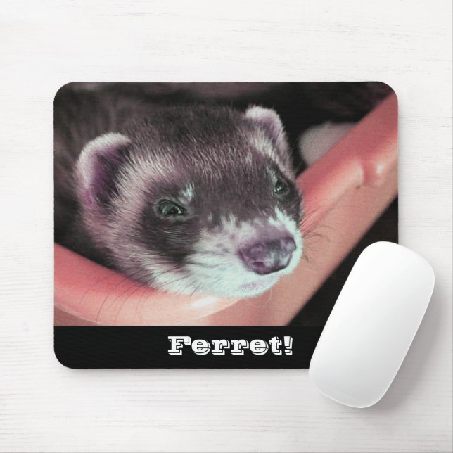 Süßes Schwarzfuchs-Frettchen-Foto Mousepad (Mit Mouse)