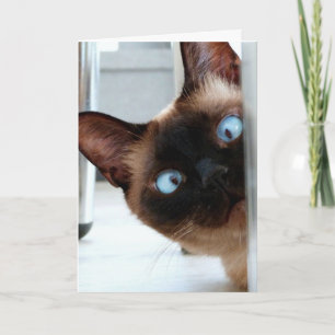 SÜßES SIAMESISCHES KATZE GLÜCKLICH ZUM GEBURTSTAG  KARTE