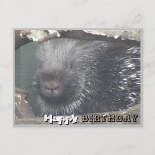 Süßes Stachelschwein-Gesicht DIY Alles Gute zum Ge Postkarte