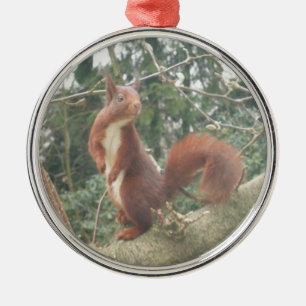 Süßes stehendes Eichhörnchen-Metallornament Ornament Aus Metall