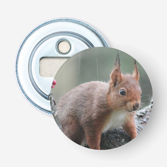 Süßes Tier Flaschenöffner (Vorderseite)