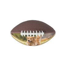 Süßes und verspielt gestaltetes Hunde-Football