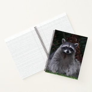 Süßes Waldwaschbär-Wildlife-Foto-Notizbuch Notizbuch