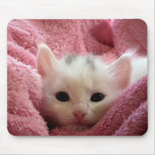 Süßes weiches Kätzchen Mousepad