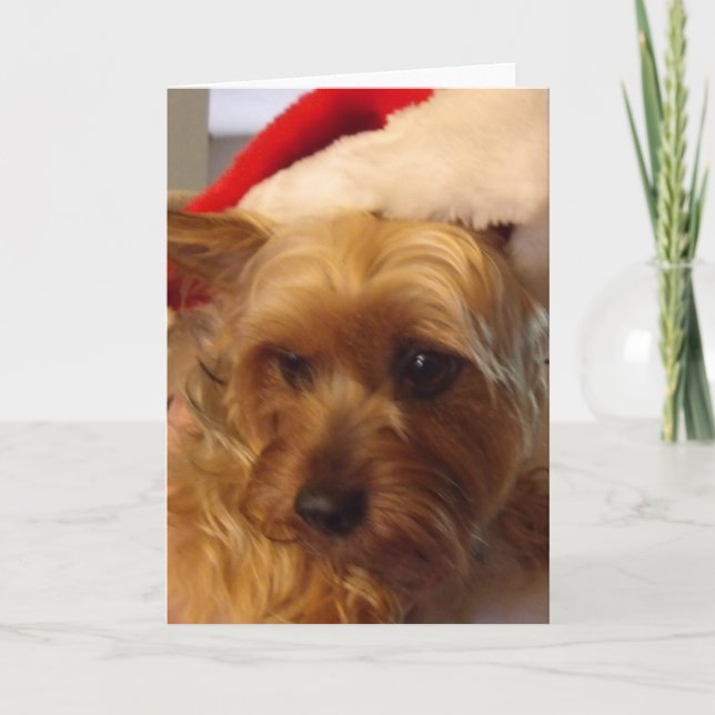 Süßes Weihnachten frech (Vorderseite)