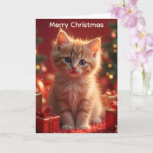 Süßes Weihnachtskitten