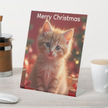 Süßes Weihnachtskitten