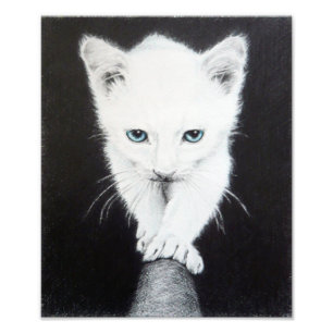 Süßes weißes Kätzchen Tier Zeichnung Kunst Katzenl Fotodruck