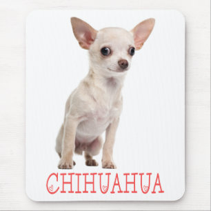 Süßes Welpen-Hund-Liebhaber-Geschenk Lustiger Chih Mousepad