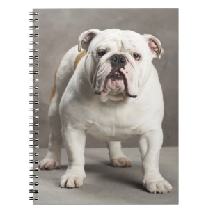 Süßes Welpen-Hundemama Geschenk English Bulldogge Notizblock