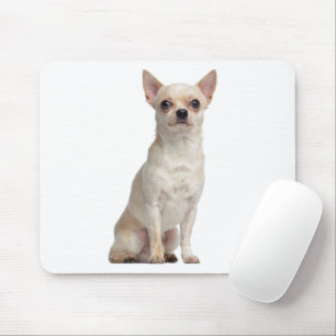 Süßes Welpen-Hundemama-Geschenk Lustiges Chihuahua Mousepad