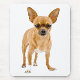 Süßes Welpen-Hundliebhaber-Geschenk Lustige Chihua Mousepad