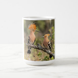 Süßes Wiedehopf-Vogelpaar Nature Damen T-Shirt Kaffeetasse