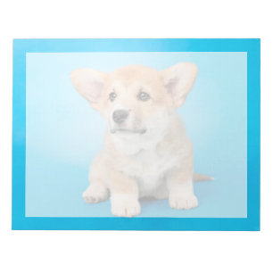 Süßeste Babytierchen Corgi-Welpe auf Blau Notizblock