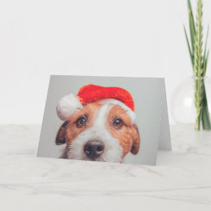 Süßeste Babytierchen   Jack Russell Hund Santa Cla Karte