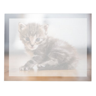 Süßeste Babytierchen Kleines Tabby-Kätzchen Notizblock
