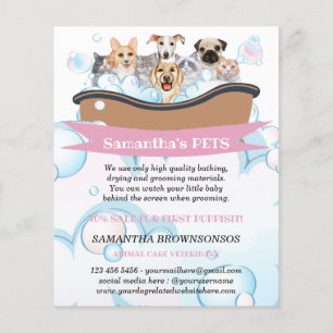 Süßeste Hunde Katzen Spa Sitter Pflegen Haustierpf Flyer