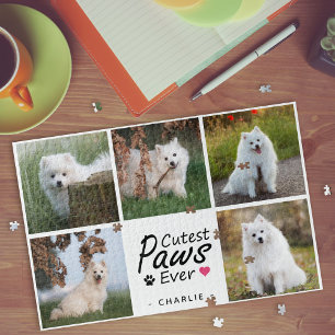 Süßeste Pfoten überhaupt moderne süße Hundefoto-Co