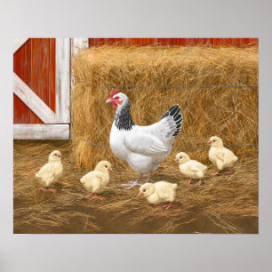 Sussex Chicken Mama Hen and Chicks Poster