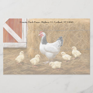 Sussex Chicken Mama Hen und Chicks Briefpapier