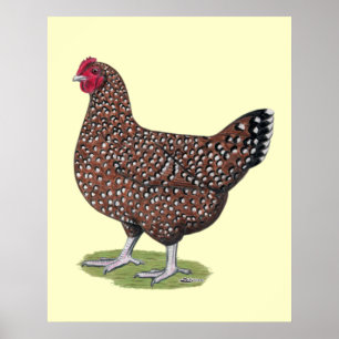Sussex:  Gesprenkelte Henne Poster
