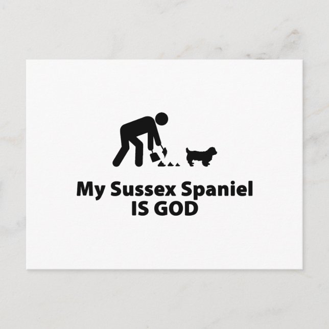 Sussex Spanel Postkarte (Vorderseite)
