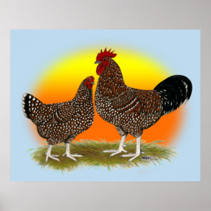 Sussex Sunrise Poster