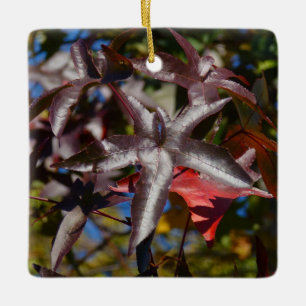 Süßgumblätter im Herbst Keramikornament