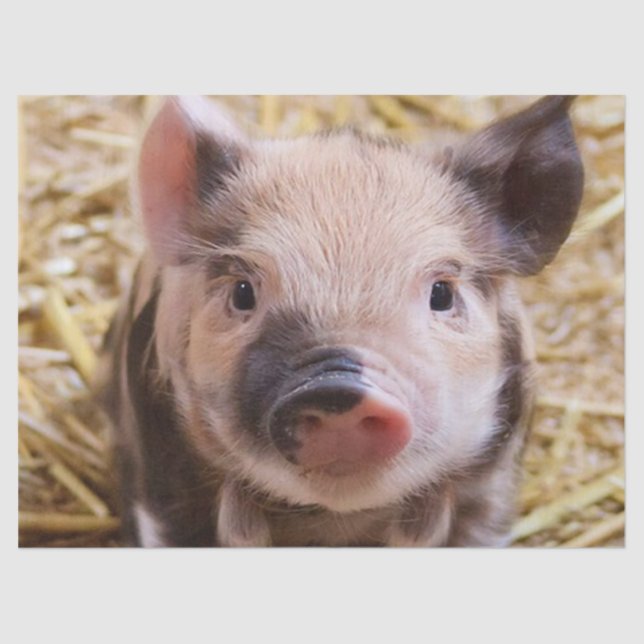 Süßmilch Seidenpapier (Vorderseite)