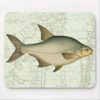 Süßwasserfisch auf Karte