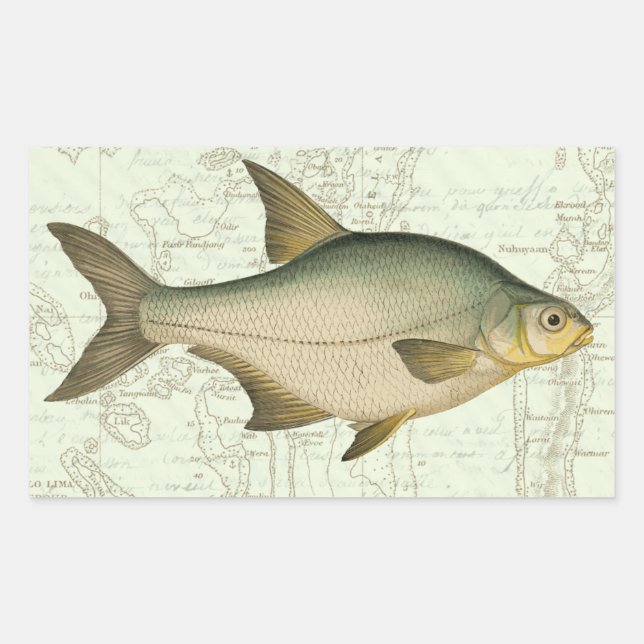 Süßwasserfisch auf Karte Rechteckiger Aufkleber (Vorderseite)