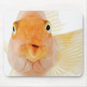 Süßwasserfische Mousepad