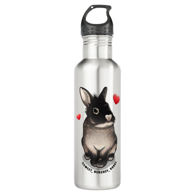 Süßwasserflasche Hershey Edelstahlflasche (Vorderseite)