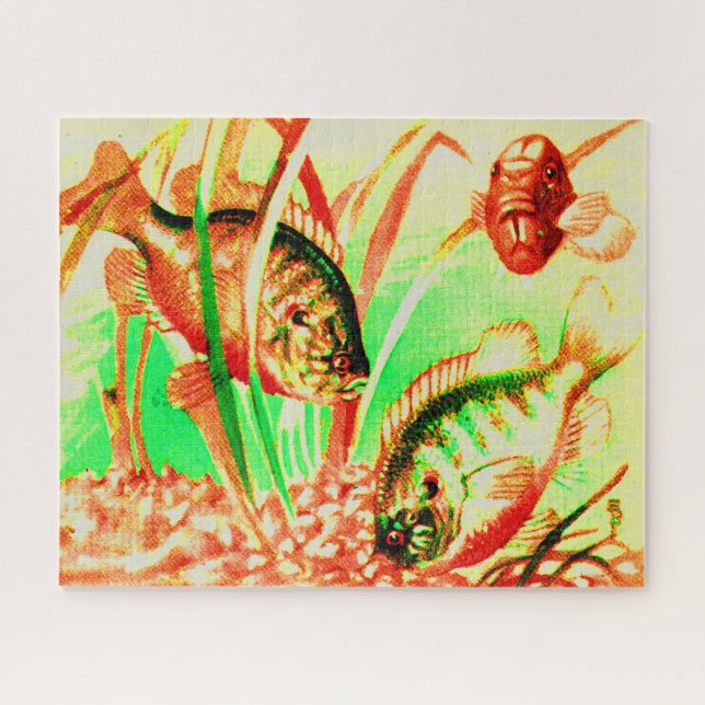 Süßwassersonnenfisch (Horizontal)