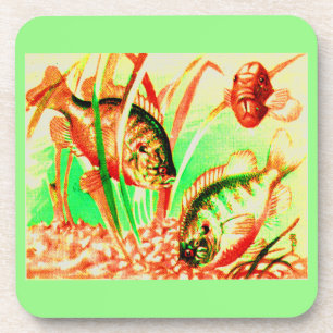 Süßwassersonnenfisch Getränkeuntersetzer