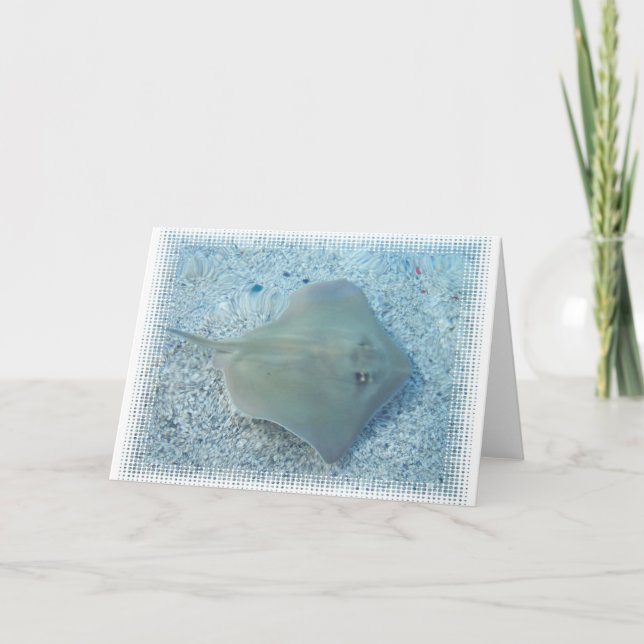 Süßwasserstingray-Gruß-Karte Karte (Vorderseite)