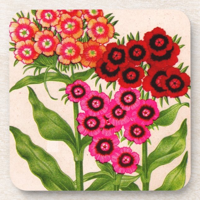 Süßwild Untersetzer (Vorderseite)