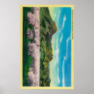Sutter Buttes und Obstgärten in der Blüte Poster