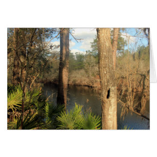 Suwanee River, Big Shoals State Park, Floride