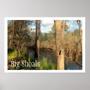 Suwanne River, Big Shoals Staat Park, Florida Poster